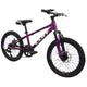 BICICLETA LIZARD 20