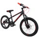 BICICLETA LIZARD 20